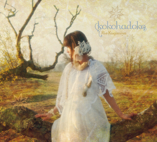 kokohadoko / 釘宮理恵