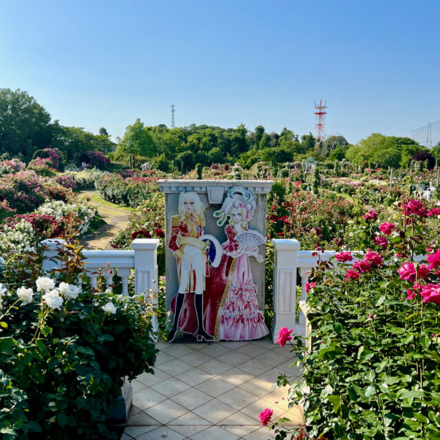 Keisei Rose Garden