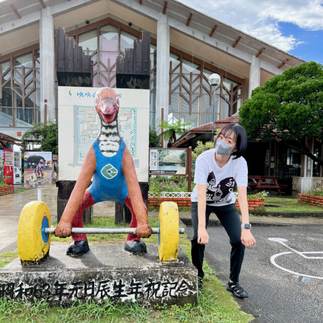 道の駅 Okinawa