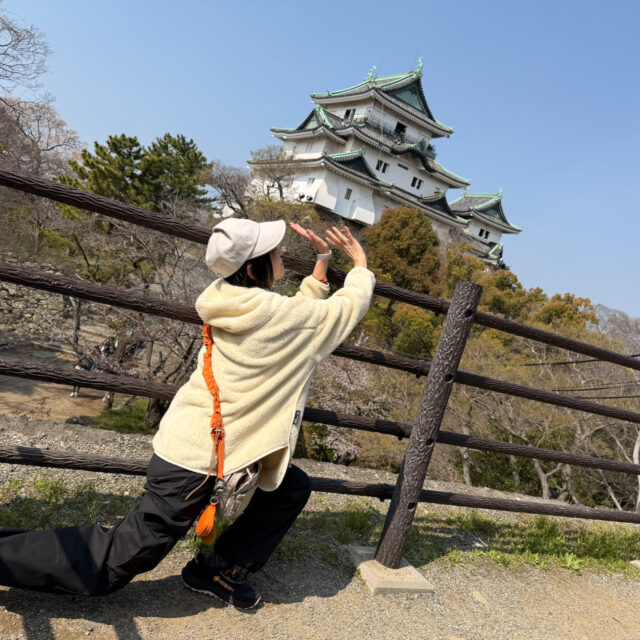 和歌山、切手お詫び、新作のお知らせ。