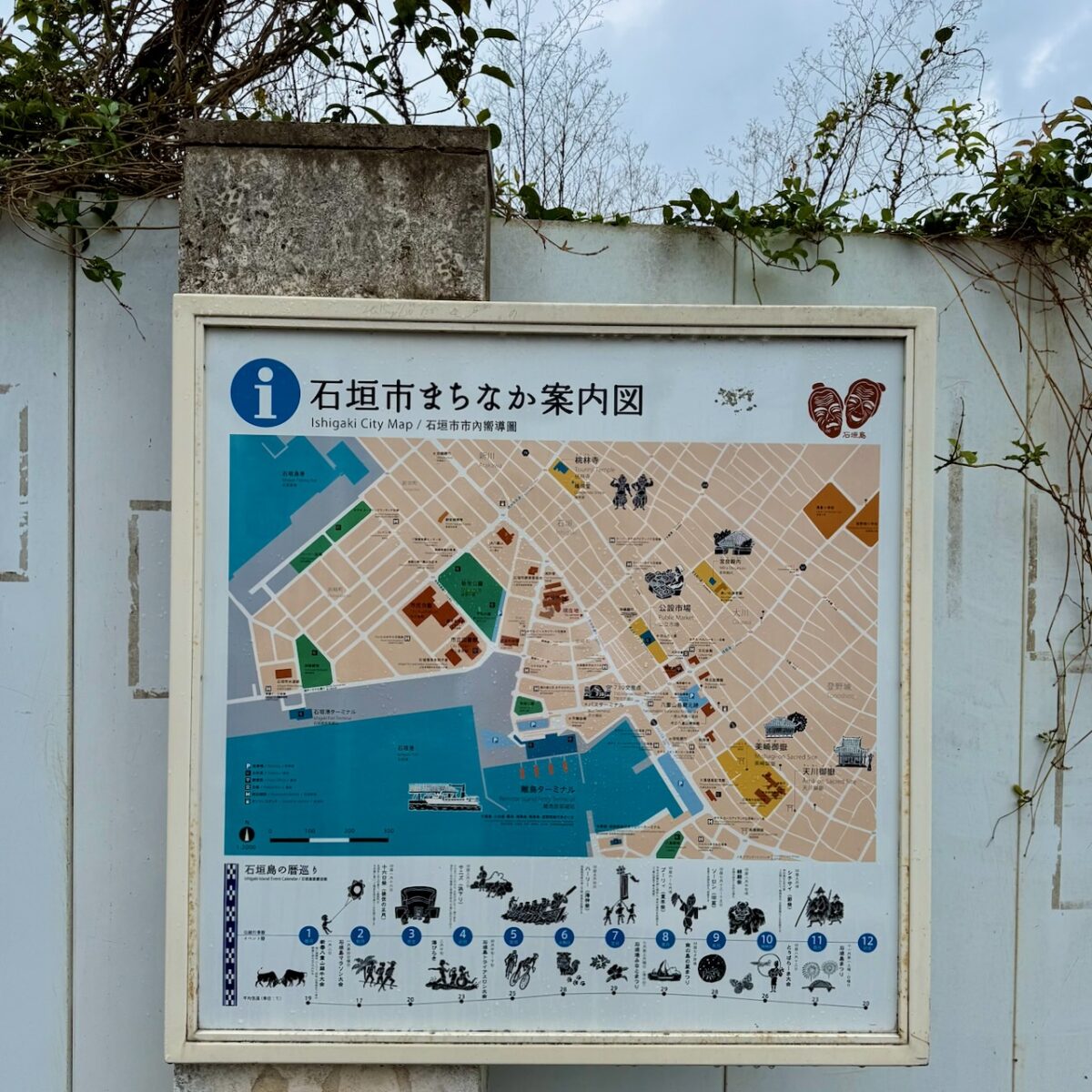 沖縄3日目：石垣島、島バナナとパイナップル。