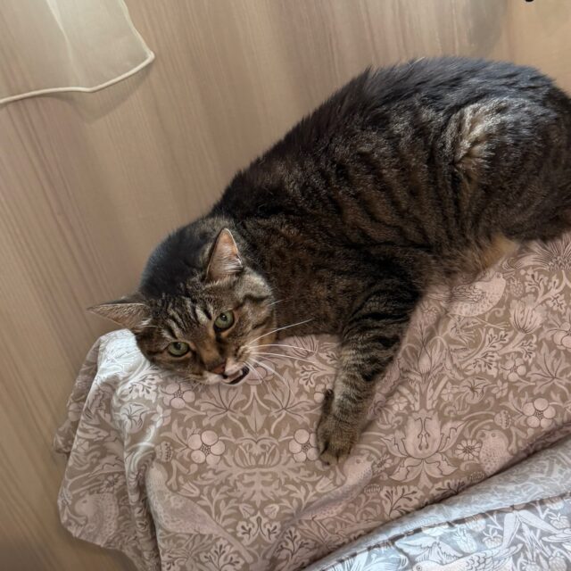 正気の保ち方